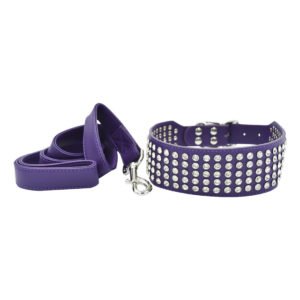 Luxury Purple Diamond Big Dog Collar Set