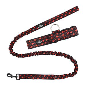 Mickey Mouse Love Tactical Dog Collar & Lead Set