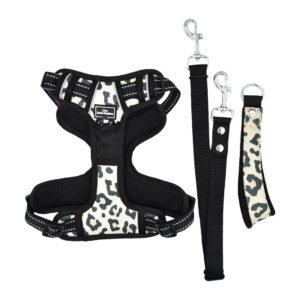 Dog accessories AustraliaSassy Leopard Dog Harness Set