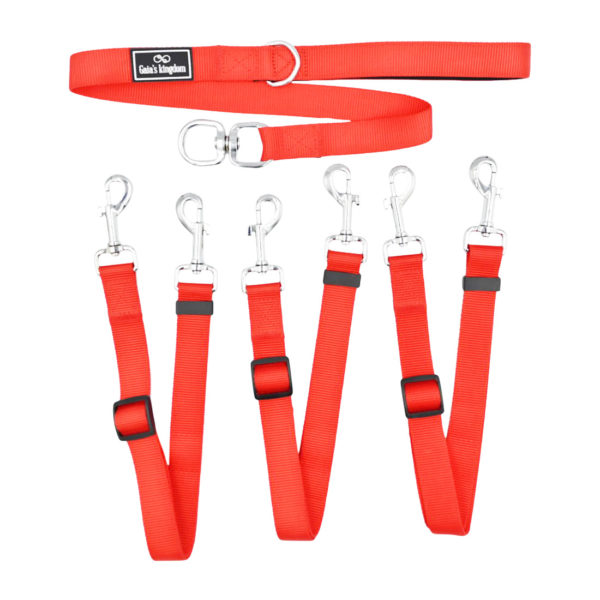 Be Confident Collection Private: Pure RED Cool Dog Leashes Set