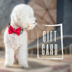 Gift Voucher-Big And Little Dogs